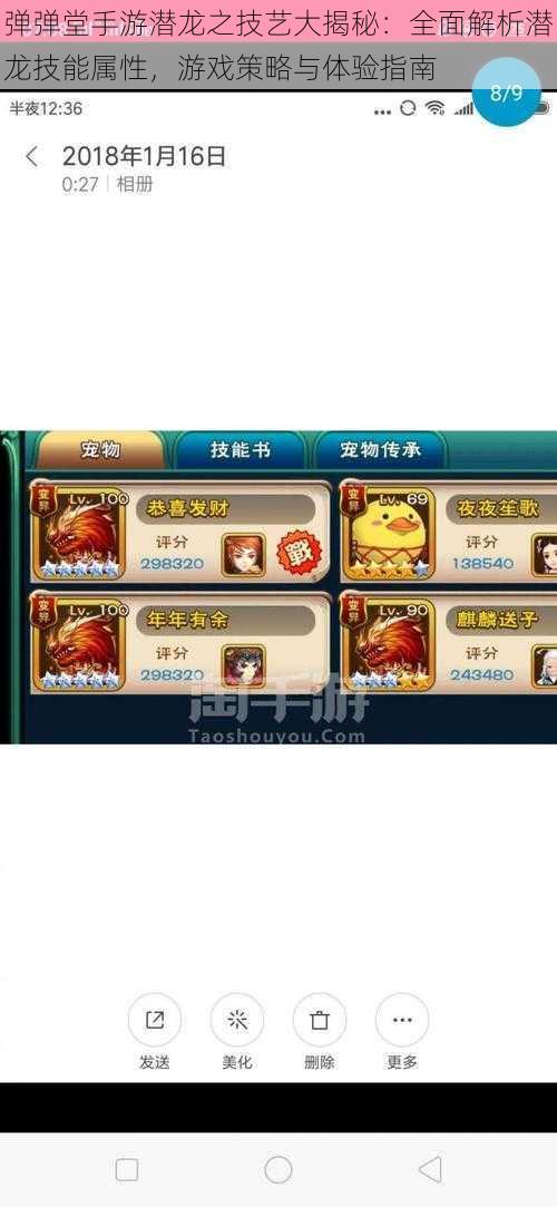 弹弹堂手游潜龙之技艺大揭秘:全面解析潜龙技能属性,游戏策略与体验指南
