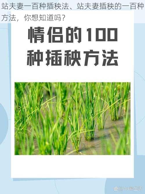 站夫妻一百种插秧法、站夫妻插秧的一百种方法,你想知道吗?