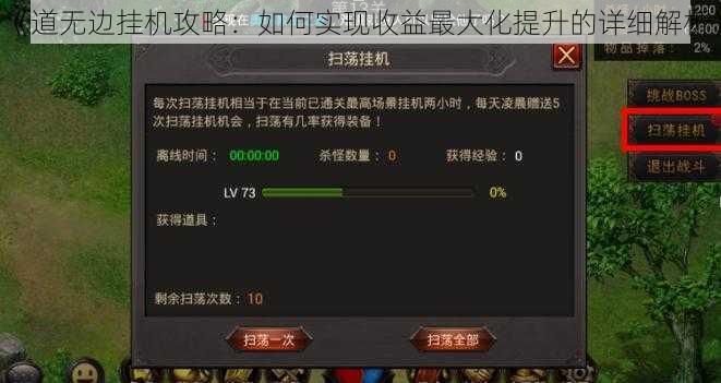 《道无边挂机攻略:如何实现收益最大化提升的详细解析》