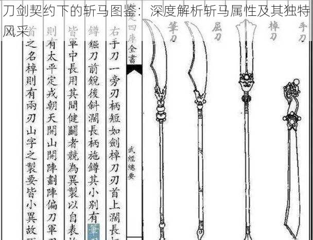 刀剑契约下的斩马图鉴：深度解析斩马属性及其独特风采