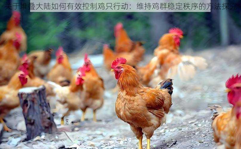 关于堆叠大陆如何有效控制鸡只行动:维持鸡群稳定秩序的方法探究