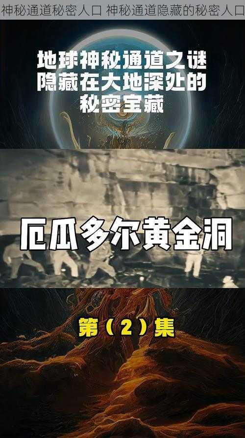 神秘通道秘密人口 神秘通道隐藏的秘密人口