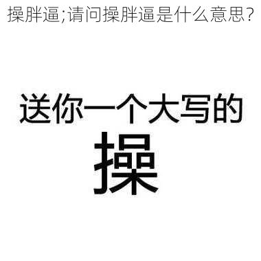 操胖逼;请问操胖逼是什么意思？