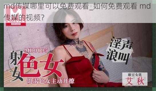 md传媒哪里可以免费观看_如何免费观看 md 传媒的视频？