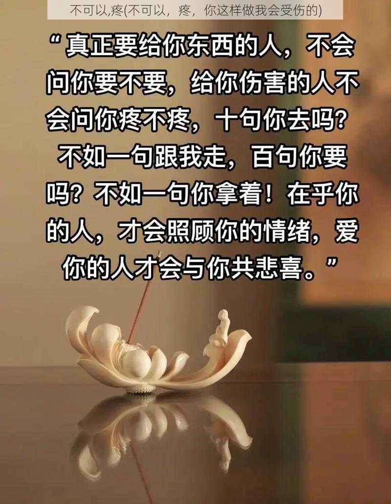 不可以,疼(不可以，疼，你这样做我会受伤的)