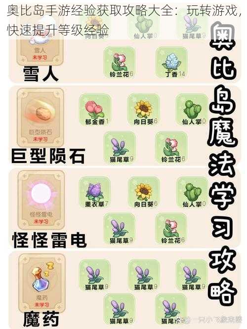 奥比岛手游经验获取攻略大全:玩转游戏,快速提升等级经验