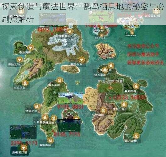 探索创造与魔法世界：鹦鸟栖息地的秘密与必刷点解析