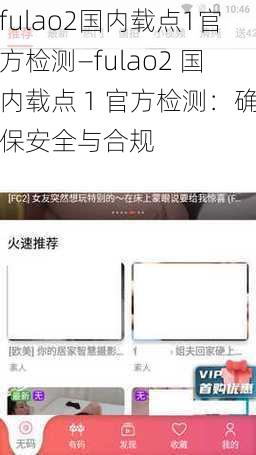 fulao2国内载点1官方检测—fulao2 国内载点 1 官方检测：确保安全与合规