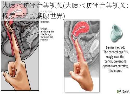 大喷水吹潮合集视频(大喷水吹潮合集视频：探索未知的潮吹世界)