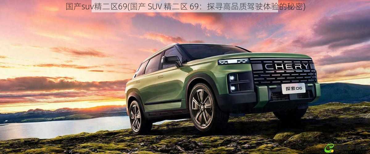 国产suv精二区69(国产 SUV 精二区 69：探寻高品质驾驶体验的秘密)