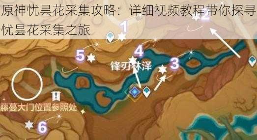 原神忧昙花采集攻略:详细视频教程带你探寻忧昙花采集之旅
