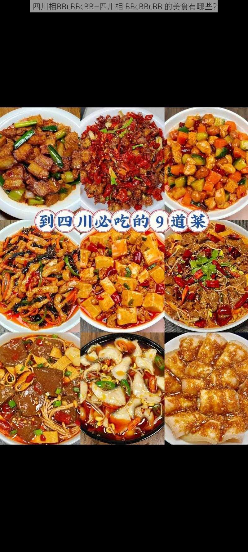 四川相BBcBBcBB—四川相 BBcBBcBB 的美食有哪些?