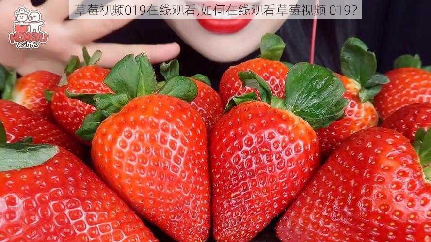草莓视频019在线观看,如何在线观看草莓视频 019?