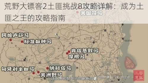 荒野大镖客2土匪挑战8攻略详解:成为土匪之王的攻略指南