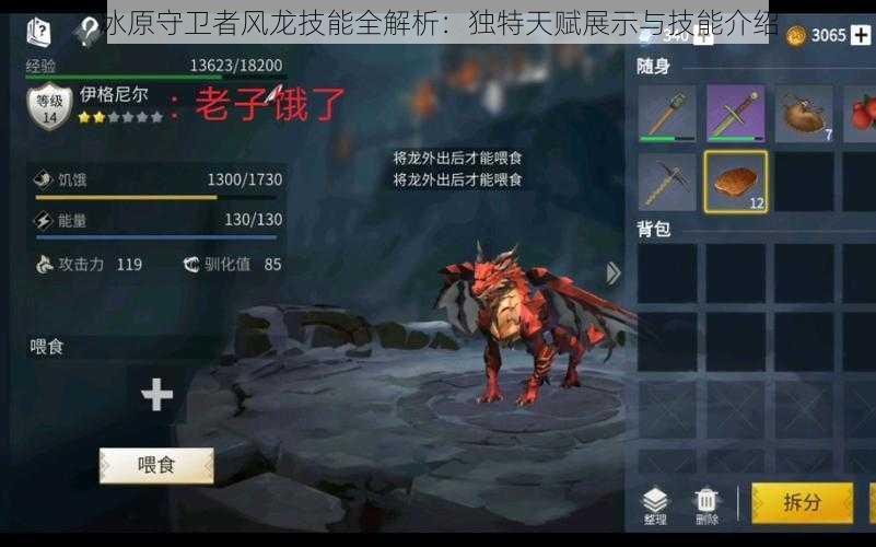 冰原守卫者风龙技能全解析:独特天赋展示与技能介绍