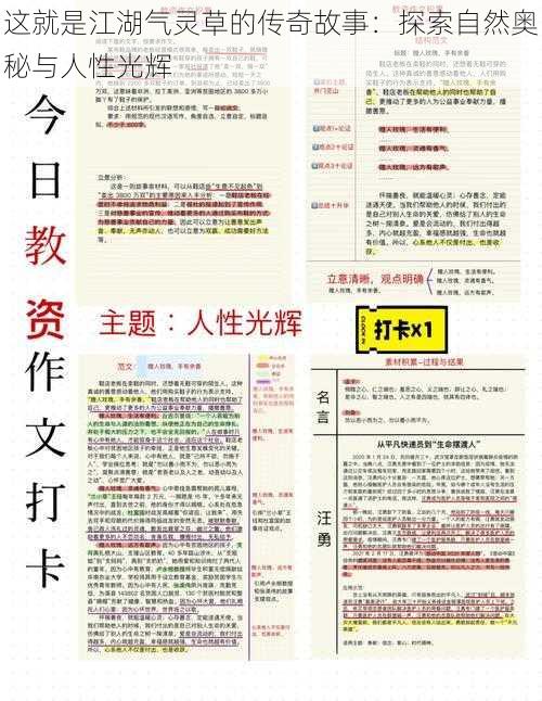 这就是江湖气灵草的传奇故事：探索自然奥秘与人性光辉