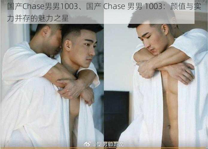 国产Chase男男1003、国产 Chase 男男 1003：颜值与实力并存的魅力之星