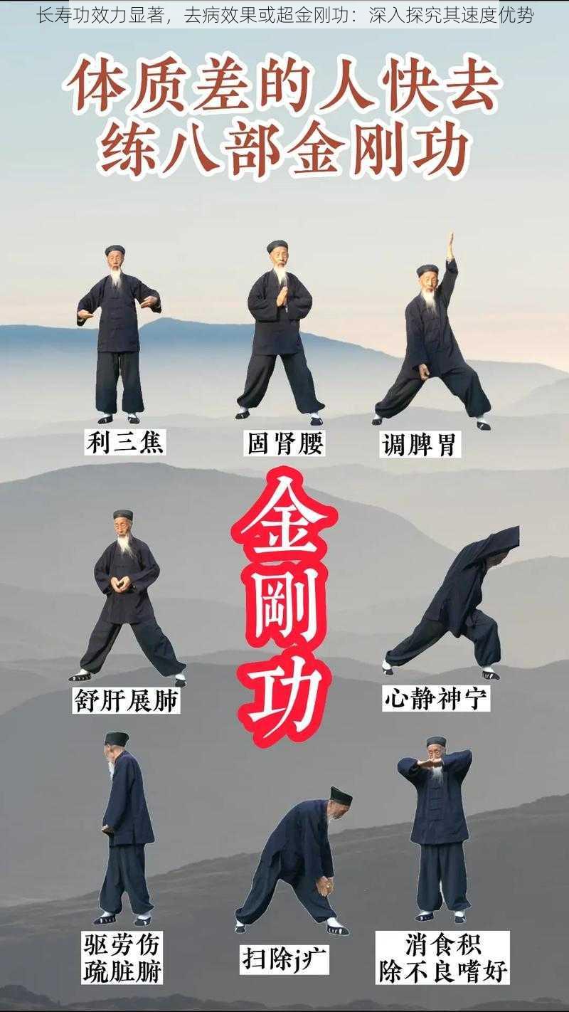长寿功效力显著,去病效果或超金刚功:深入探究其速度优势