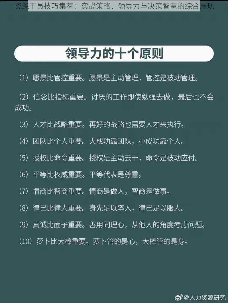 资深干员技巧集萃：实战策略、领导力与决策智慧的综合展现