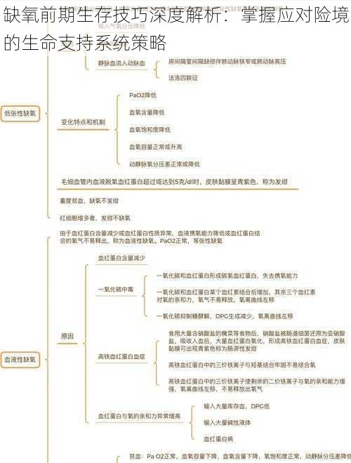 缺氧前期生存技巧深度解析：掌握应对险境的生命支持系统策略