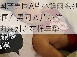 国产男同A片小鲜肉系列;国产男同 A 片小鲜肉系列之花样年华