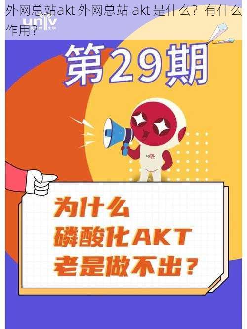 外网总站akt 外网总站 akt 是什么?有什么作用?