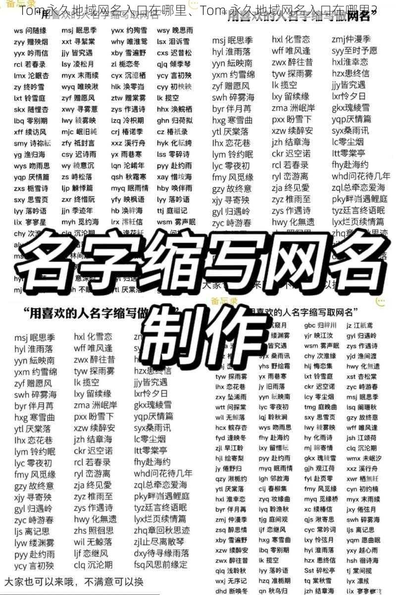 Tom永久地域网名入口在哪里、Tom 永久地域网名入口在哪里?