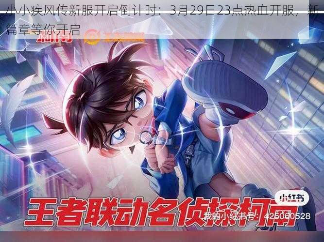 小小疾风传新服开启倒计时:3月29日23点热血开服,新篇章等你开启
