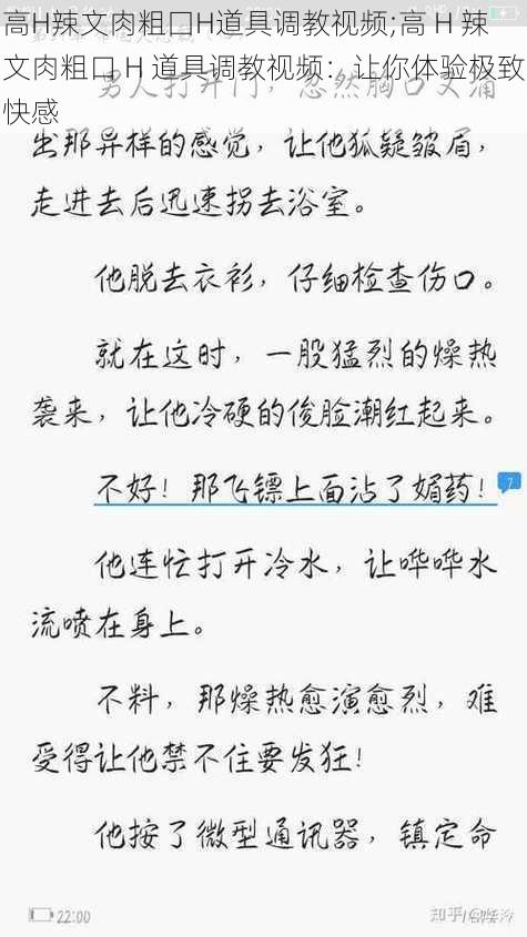 高H辣文肉粗囗H道具调教视频;高 H 辣文肉粗口 H 道具调教视频:让你体验极致快感