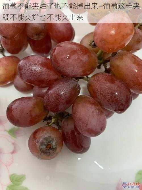 葡萄不能夹烂了也不能掉出来—葡萄这样夹既不能夹烂也不能夹出来
