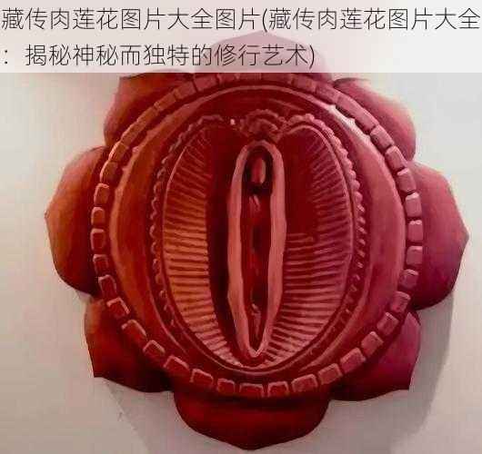 藏传肉莲花图片大全图片(藏传肉莲花图片大全:揭秘神秘而独特的修行艺术)
