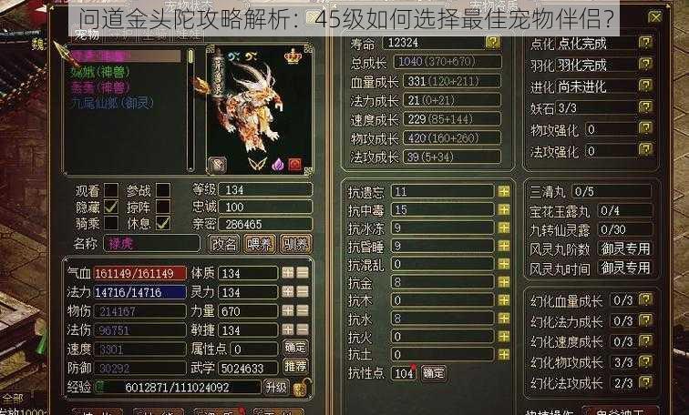 问道金头陀攻略解析:45级如何选择最佳宠物伴侣?
