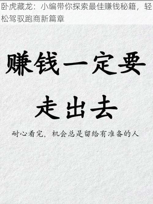 卧虎藏龙:小编带你探索最佳赚钱秘籍,轻松驾驭跑商新篇章