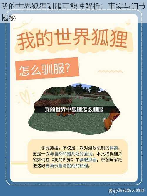 我的世界狐狸驯服可能性解析:事实与细节揭秘