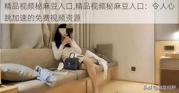 精品视频秘麻豆入口,精品视频秘麻豆入口:令人心跳加速的免费视频资源