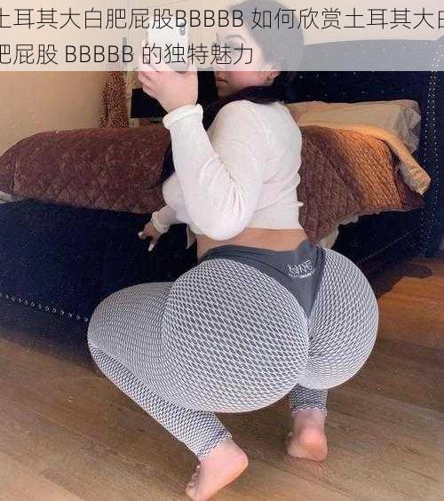土耳其大白肥屁股BBBBB 如何欣赏土耳其大白肥屁股 BBBBB 的独特魅力