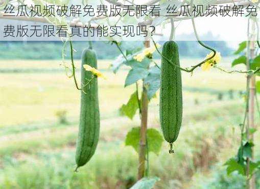 丝瓜视频破解免费版无限看 丝瓜视频破解免费版无限看真的能实现吗?