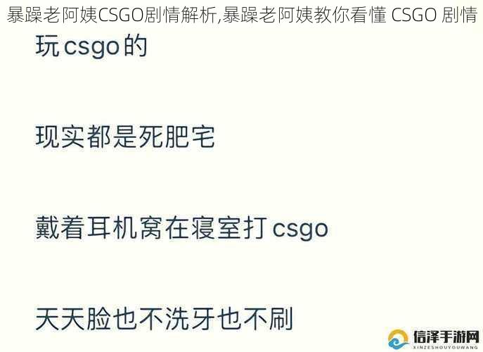 暴躁老阿姨CSGO剧情解析,暴躁老阿姨教你看懂 CSGO 剧情