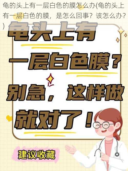 龟的头上有一层白色的膜怎么办(龟的头上有一层白色的膜,是怎么回事?该怎么办?)