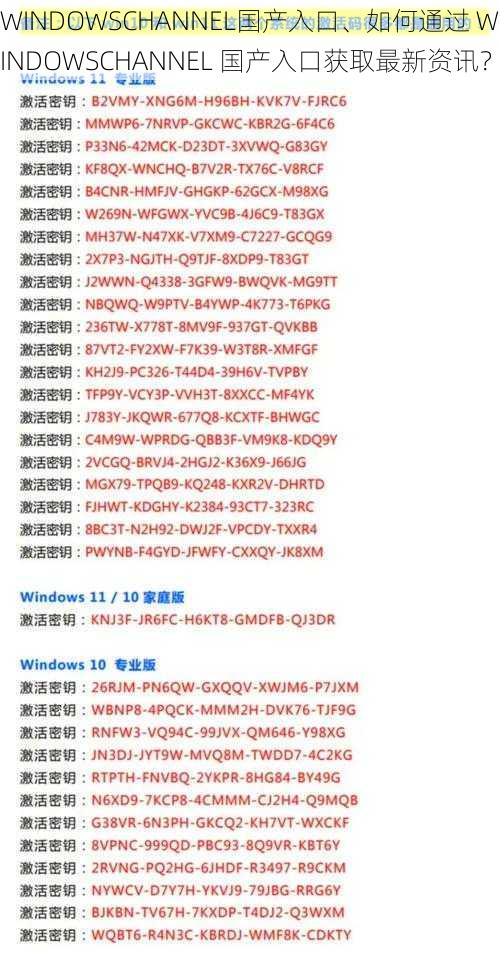 WINDOWSCHANNEL国产入口、如何通过 WINDOWSCHANNEL 国产入口获取最新资讯？