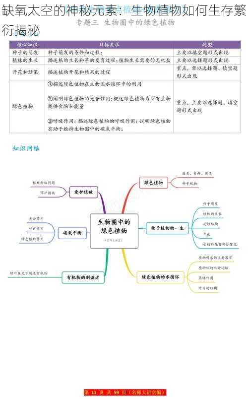 缺氧太空的神秘元素：生物植物如何生存繁衍揭秘