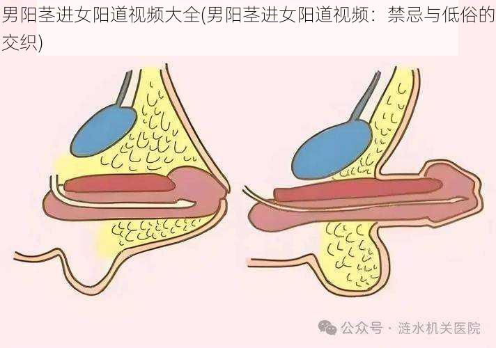 男阳茎进女阳道视频大全(男阳茎进女阳道视频：禁忌与低俗的交织)