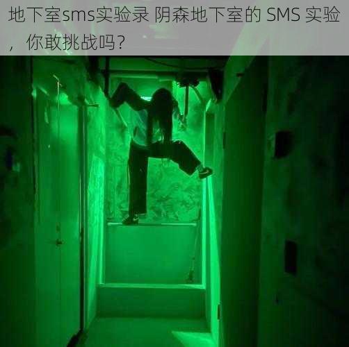 地下室sms实验录 阴森地下室的 SMS 实验，你敢挑战吗？