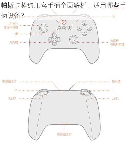 帕斯卡契约兼容手柄全面解析：适用哪些手柄设备？