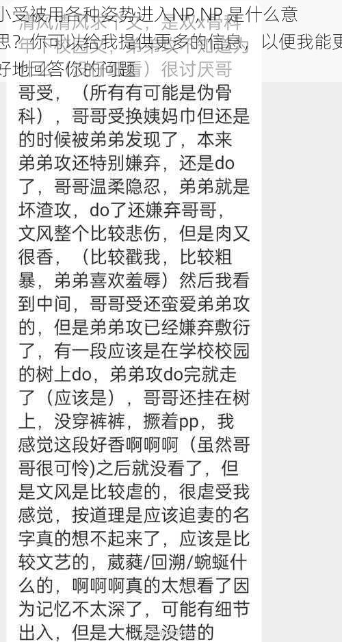 小受被用各种姿势进入NP,NP 是什么意思？你可以给我提供更多的信息，以便我能更好地回答你的问题