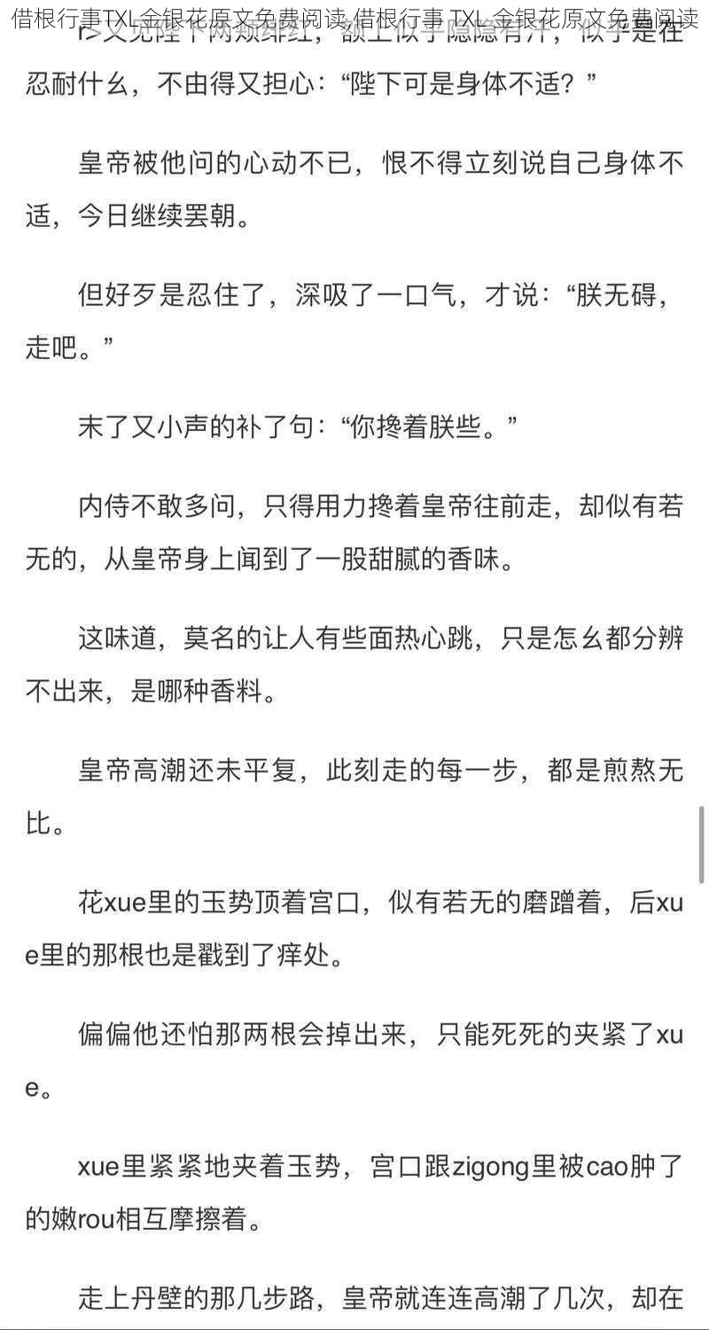 借根行事TXL金银花原文免费阅读,借根行事 TXL 金银花原文免费阅读