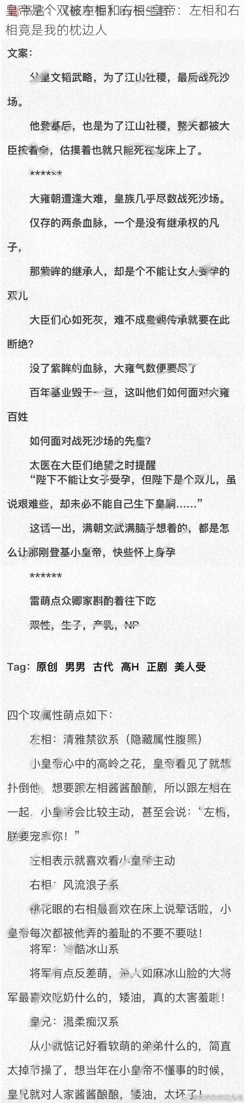 皇帝是个双被左相和右相-皇帝：左相和右相竟是我的枕边人