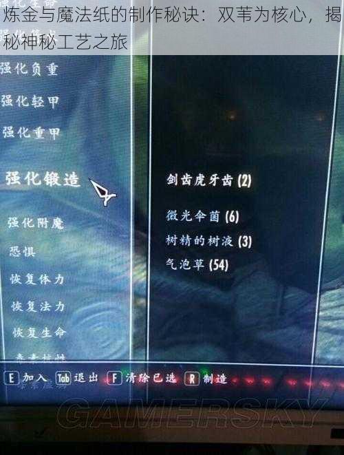 炼金与魔法纸的制作秘诀：双苇为核心，揭秘神秘工艺之旅