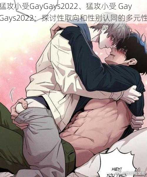 猛攻小受GayGays2022、猛攻小受 GayGays2022：探讨性取向和性别认同的多元性