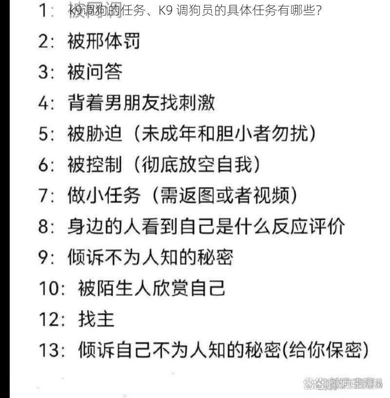 k9调狗的任务、K9 调狗员的具体任务有哪些？